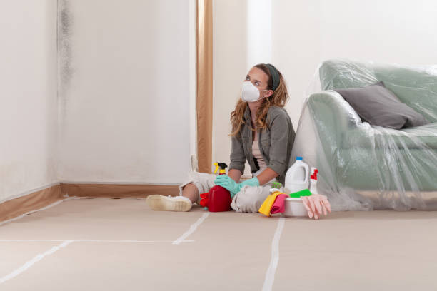 Reliable Mold Removal contractor in Marshall, IL by 24 Hour Mold Removal